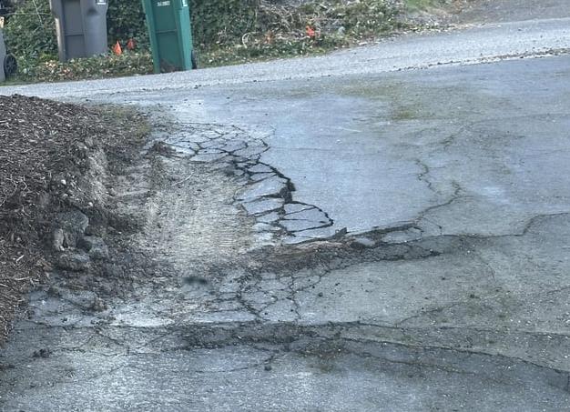 Садовые дорожки из хлама. Бюджетно, Креативно, Экологично!