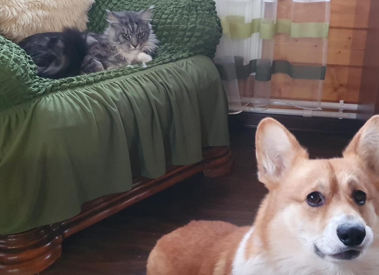 Придумайте подпись к фото